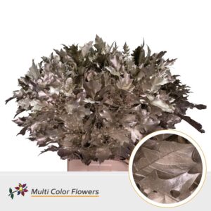 Eik Grof (80 cm) Platina – 80cm