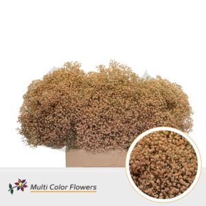 Gyps Fijn Apricot – 60cm