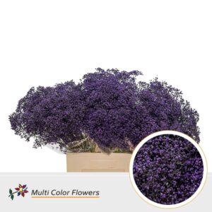 Gyps Fijn Aubergine – 60cm