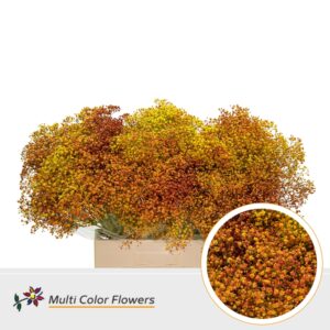 Gyps Fijn Autumn – 60cm