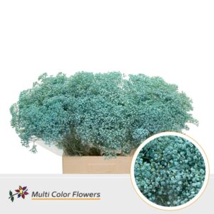 Gyps Fijn Blauw licht – 60cm