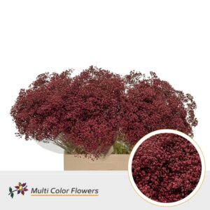 Gyps Fijn Bordeaux – 60cm