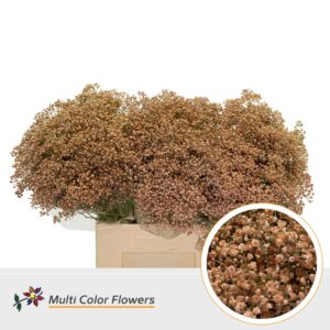 Gyps Fijn Caramel – 60cm