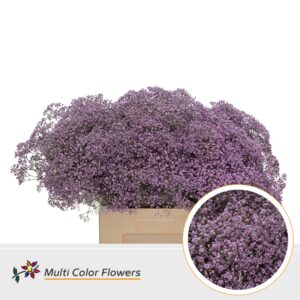 Gyps Fijn Milka – 60cm