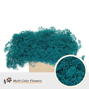 Gyps Fijn Turquoise – 60cm