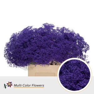 Gyps Fijn Violet donker – 60cm