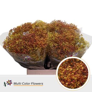 Gyps Fijn Autumn – 70cm