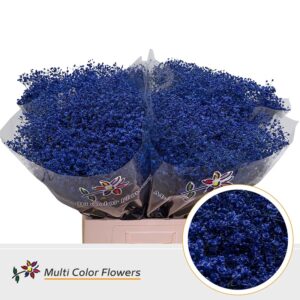Gyps Fijn Blauw donker – 70cm