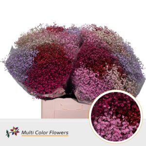 Gyps Fijn Love Mix – 70cm