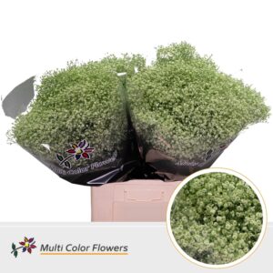 Gyps Fijn Mint – 70cm