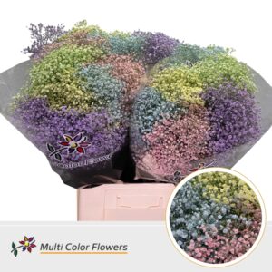 Gyps Fijn Pastel Mix – 70cm
