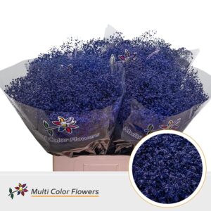 Gyps Fijn Violet donker – 70cm