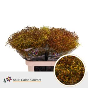 Gyps Fijn Autumn – 80cm