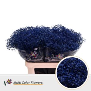 Gyps Fijn Blauw donker – 80cm