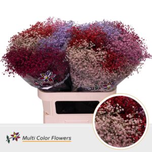Gyps Fijn Love Mix – 80cm