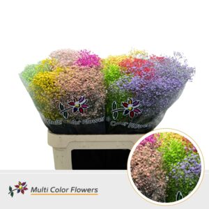 Gyps fijn Summer Mix – 80cm
