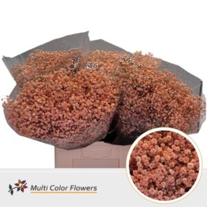 Gyps Grof Apricot – 70cm