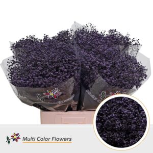 Gyps Grof Aubergine – 70cm