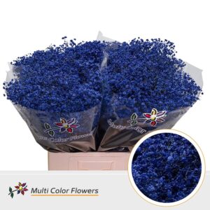 Gyps Grof Blauw donker – 70cm