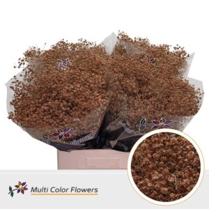 Gyps Grof Caramel – 70cm