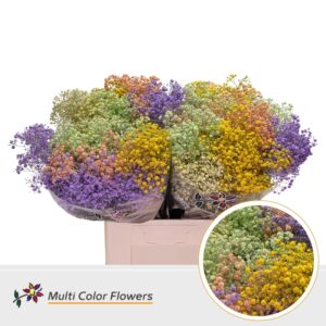 Gyps Grof Easter Mix – 70cm