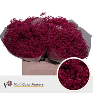 Gyps Grof Erica – 70cm