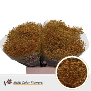 Gyps Grof Geel Oker – 70cm