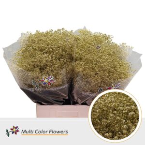 Gyps Grof Goud – 70cm
