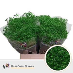 Gyps Grof Groen Donker – 70cm