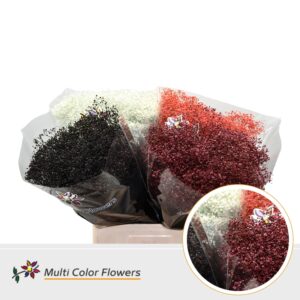 Gyps Grof Kerst Mix (Per Bos) – 70cm