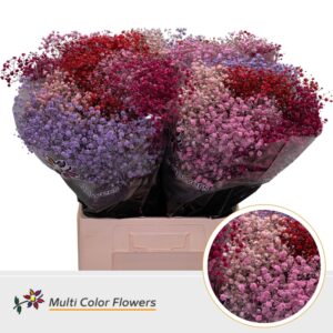 Gyps Grof Love Mix – 70cm
