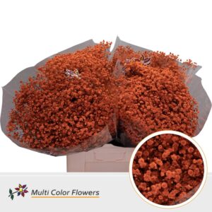Gyps Grof Oranje – 70cm