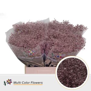 Gyps Grof Rose Goud – 70cm