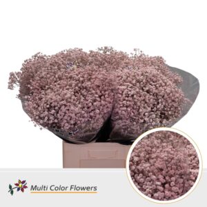 Gyps Grof Rose licht – 70cm