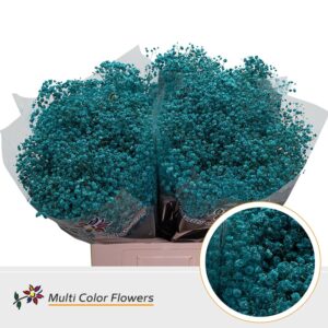 Gyps Grof Turquoise – 70cm