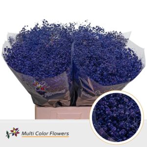 Gyps Grof Violet Donker – 70cm