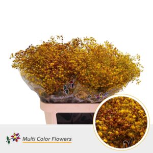 Gyps Grof Autumn – 80cm