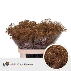 Gyps Grof Caramel – 80cm