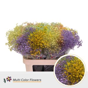 Gyps Grof Easter Mix – 80cm