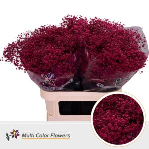 Gyps Grof Erica – 80cm