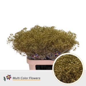 Gyps Grof Goud – 80cm