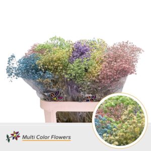 Gyps Grof Pastel Mix – 80cm