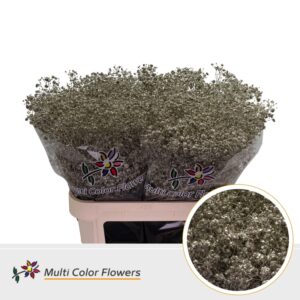Gyps Grof Platina – 80cm