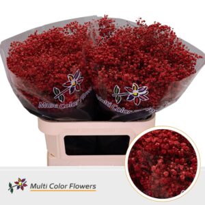 Gyps Grof Rood – 80cm
