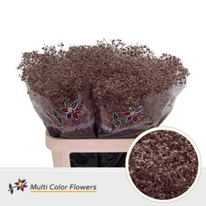 Gyps Grof Rose Goud – 80cm