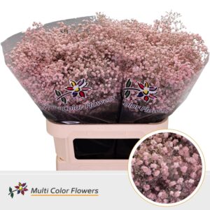 Gyps Grof Rose licht – 80cm