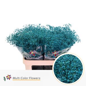 Gyps Grof Turquoise – 80cm