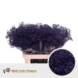Gyps Grof Violet Donker – 80cm