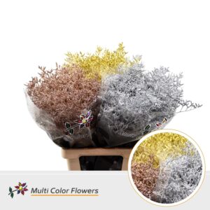 Limonium Kerst Mix Metallic (Per Emmer) – 70cm