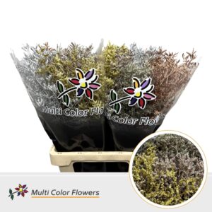Limonium Kerst Mix Metallic – 70cm